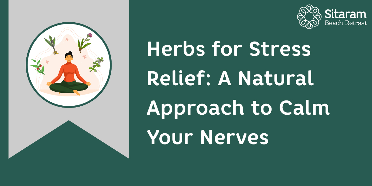 Herbs for Stress Relief A Natural Approach to Calm Your Nerves Sitaram Retreat